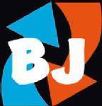 Visuel de SASU BJ CLIMATISATION