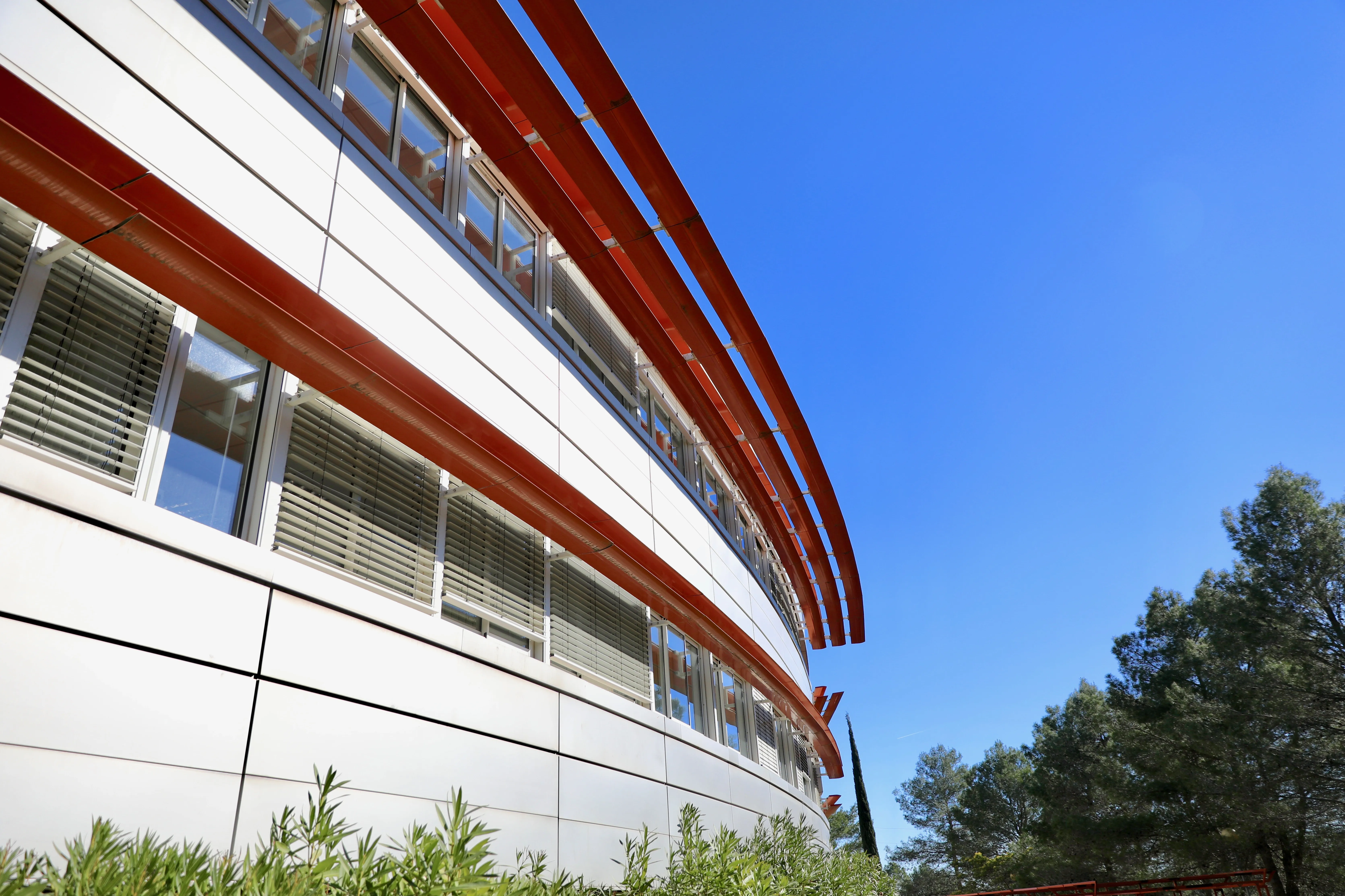 T3D25 - UNIV NICE SOPHIA - lucioles-2