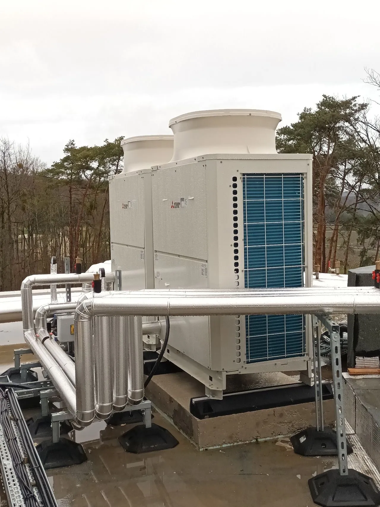 PAC CO2 YUZEN-IMG_3640.jpg