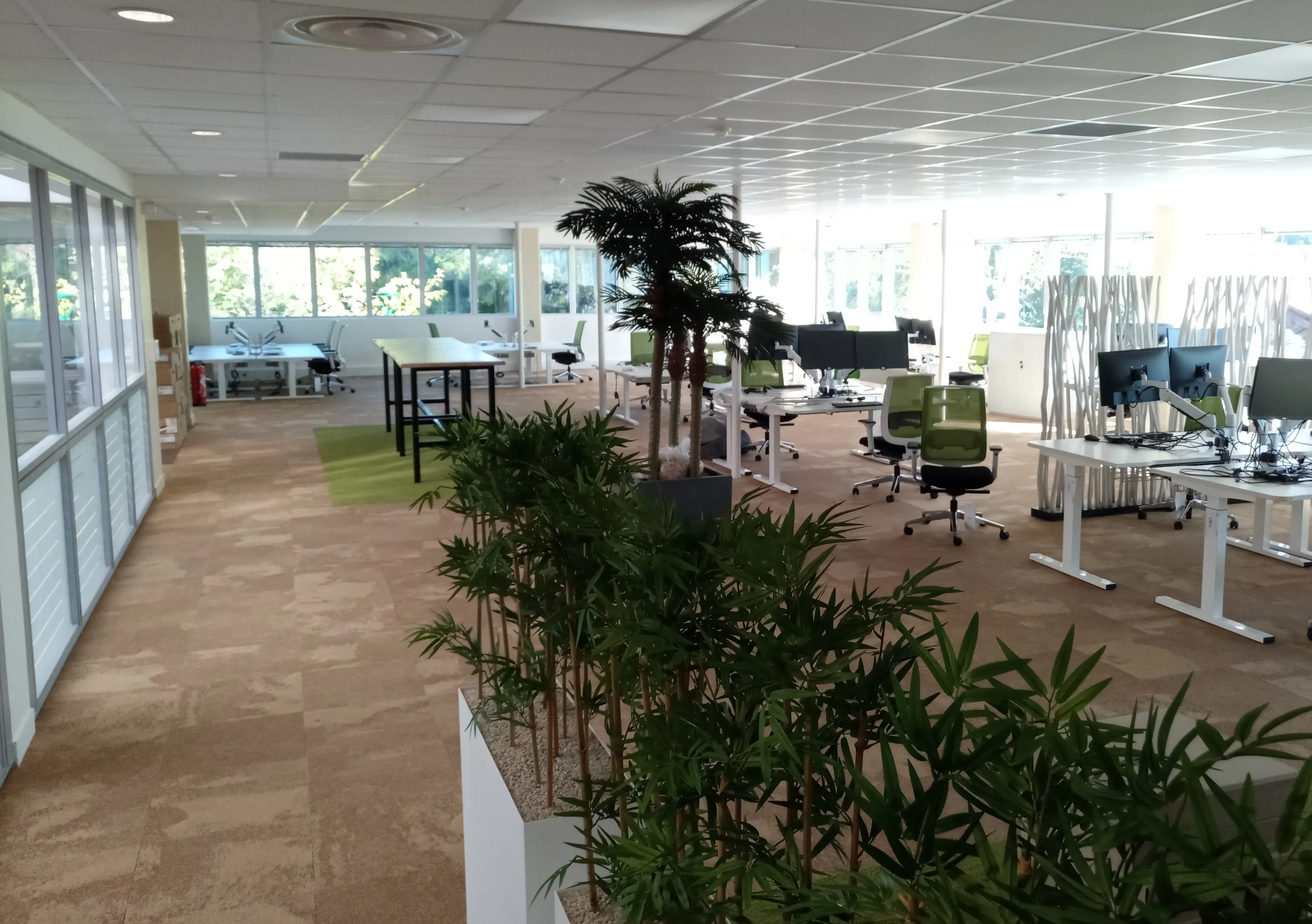 Maïf Saint-Jean-de-Védas