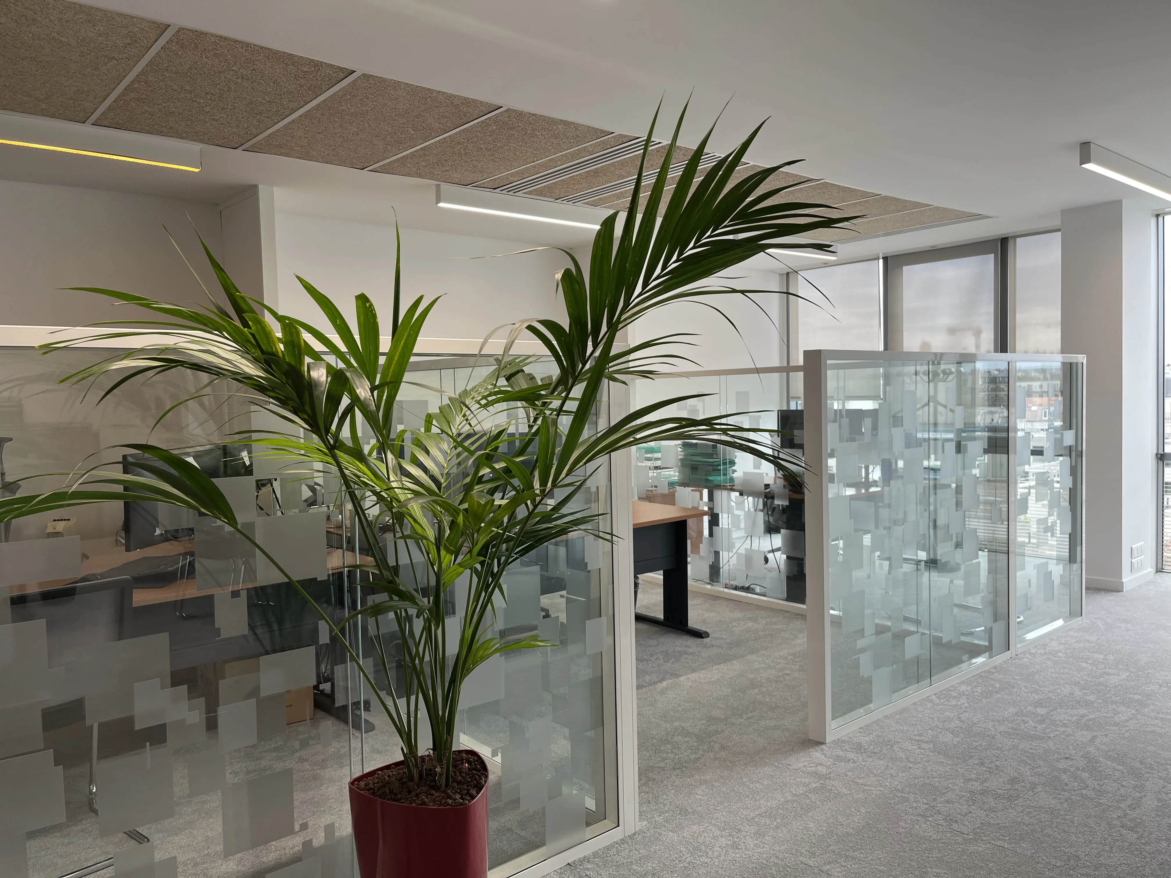 Bureaux paysagers