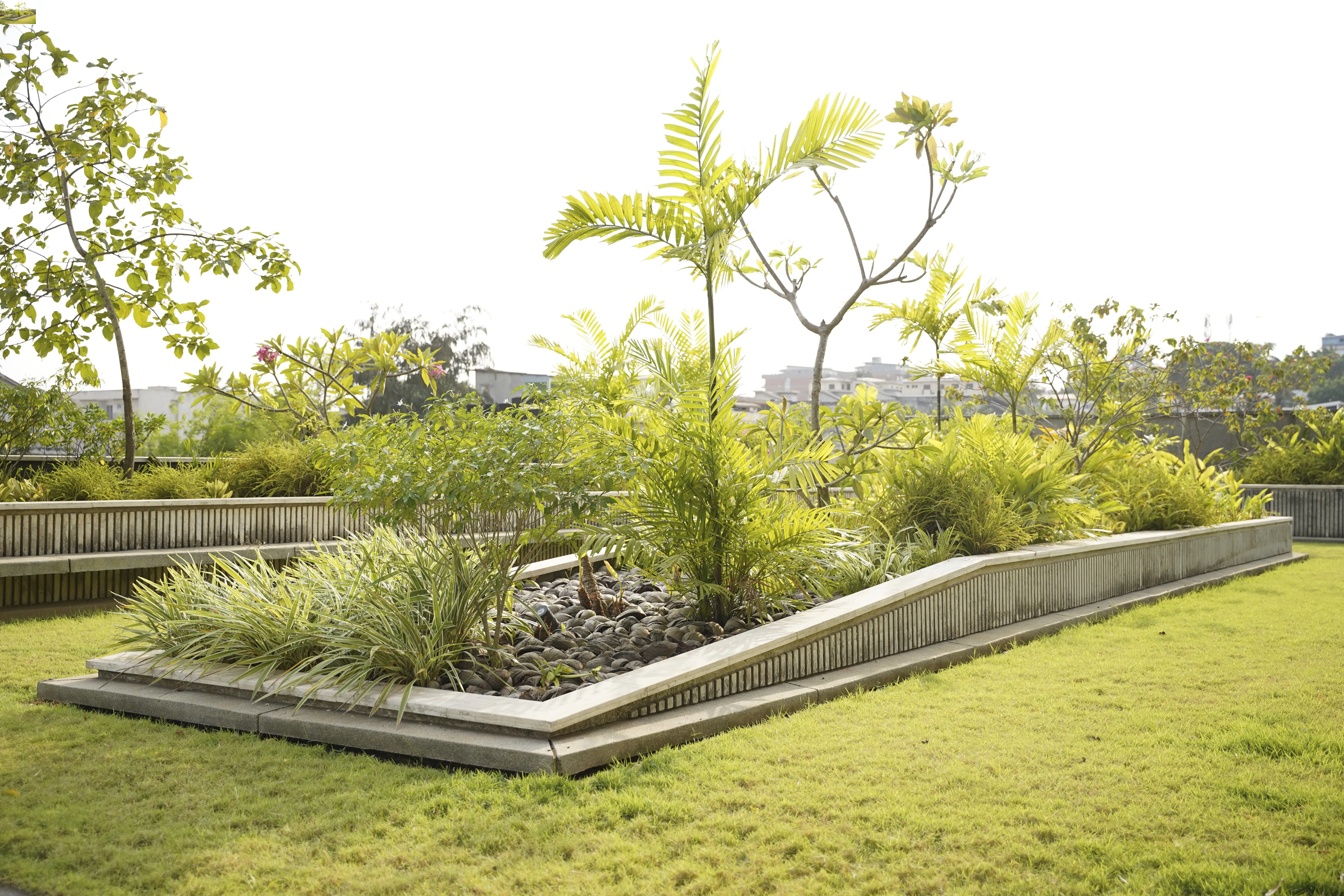 Jardin