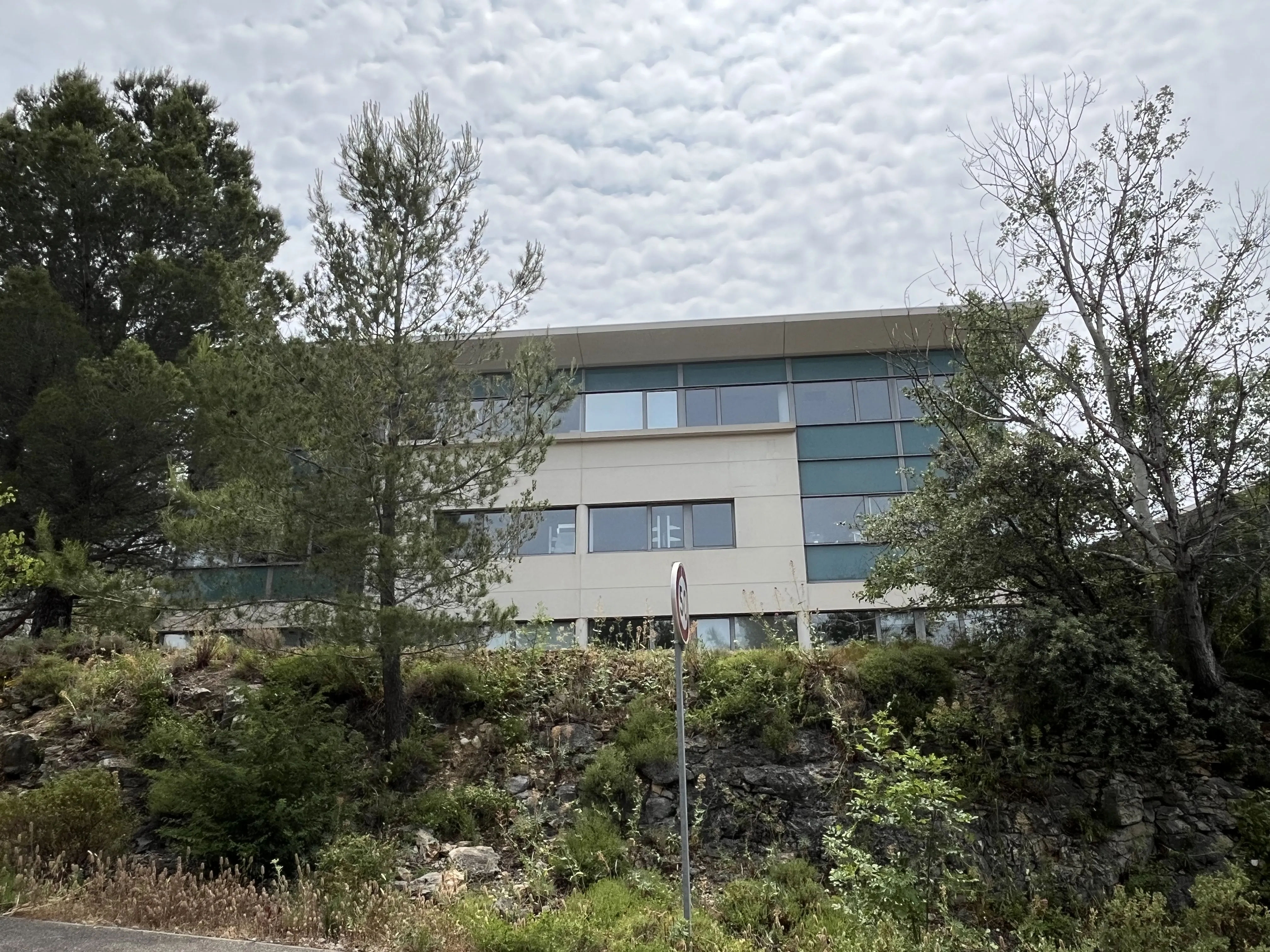 Vue extérieure avec arbres et haies