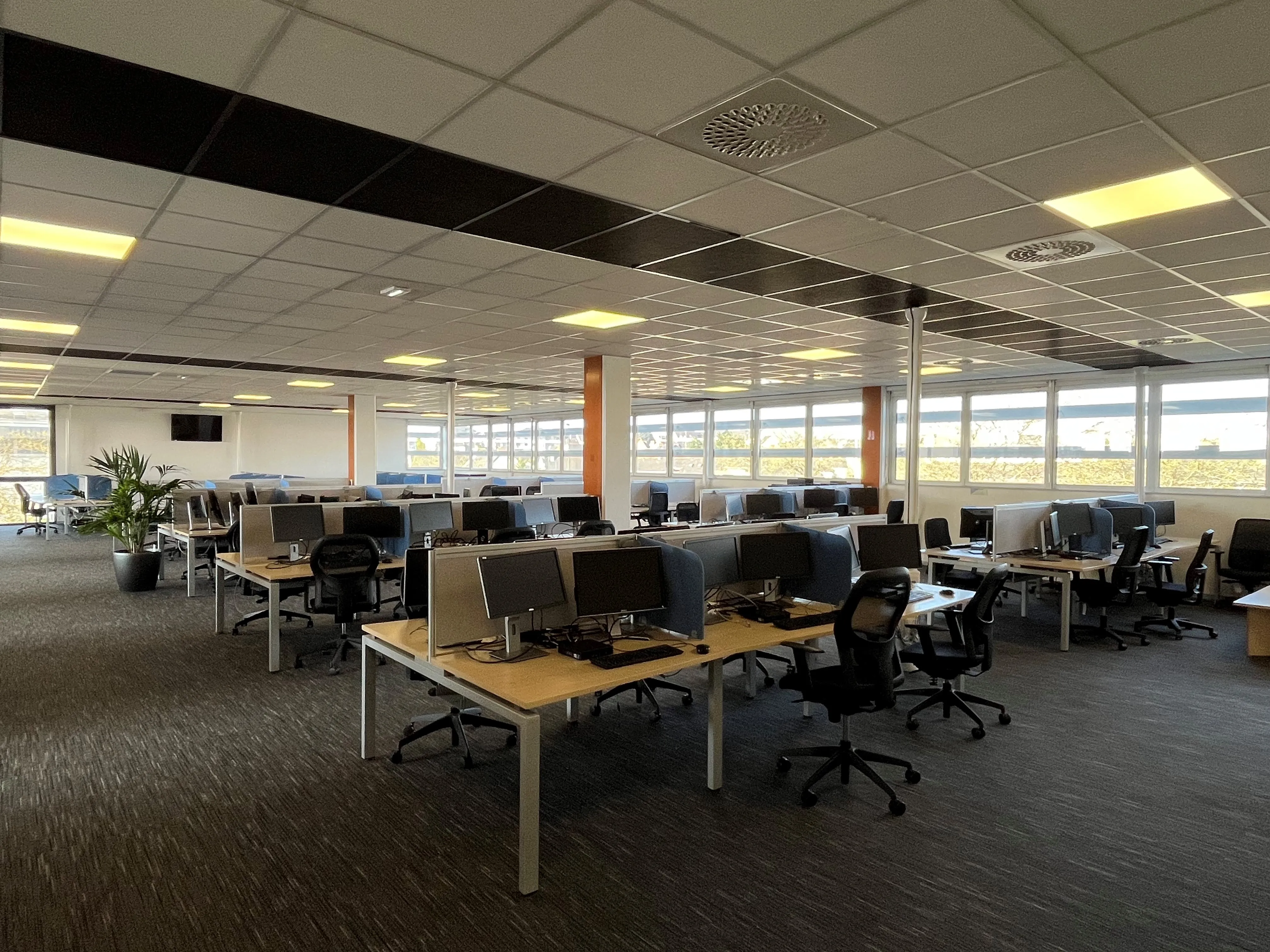 T3D25 - AROBASE  - Open space.jpg