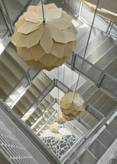 T3D25 - WOOD - Vue plongeante intérieure - Crédit photo Vinci Immobilier, ECDM et Renaud Araud