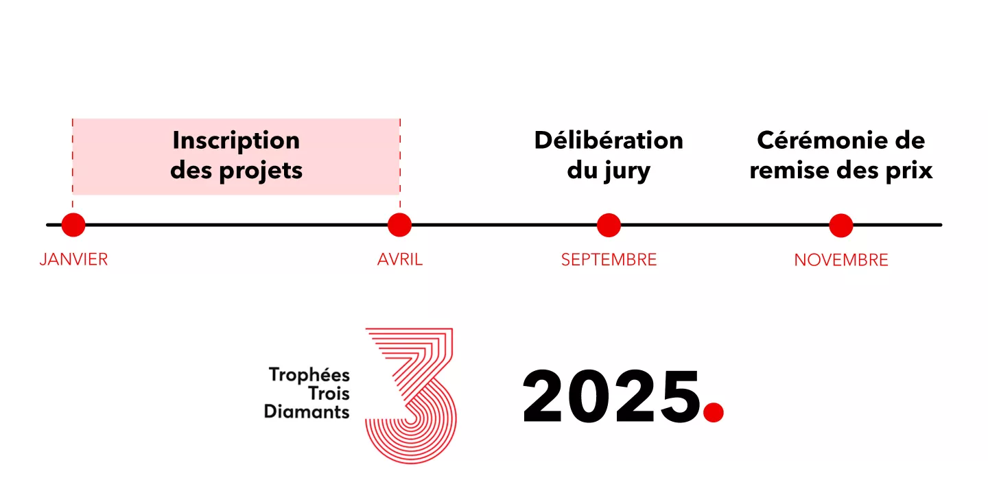 timeline T3D 2025