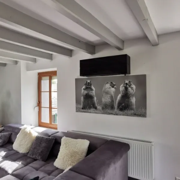 pompe à chaleur air/air Ln 35 noir onix